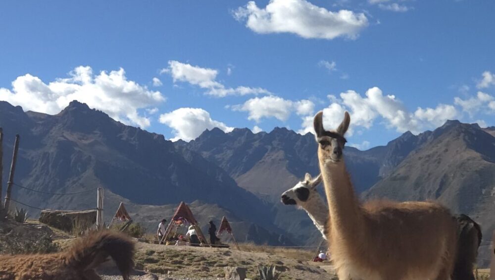 Day 11 Gospel Seeds in Urubamba