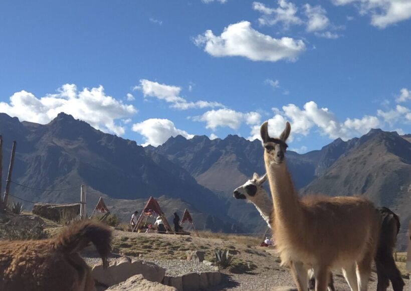 Day 11 Gospel Seeds in Urubamba