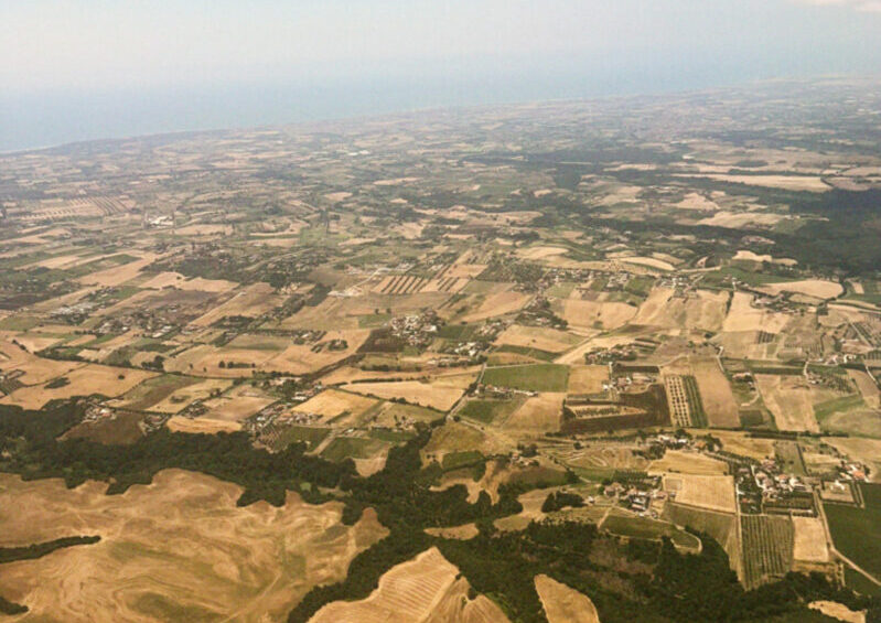 They of Italy Salute You header image